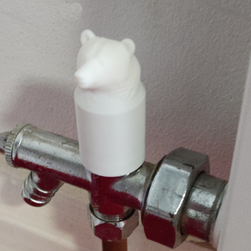 2 x Bear Radiator Lock Shield Valve Cover Caps